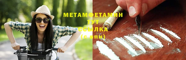 амф Гусь-Хрустальный
