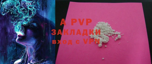 ешки Гусев