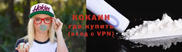 ешки Гусев