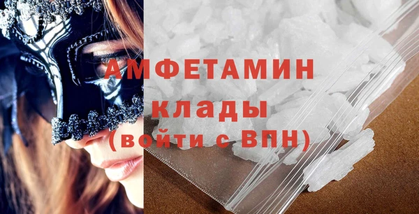 амф Гусь-Хрустальный