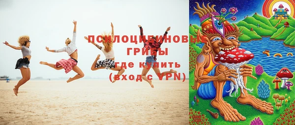 амф Гусь-Хрустальный
