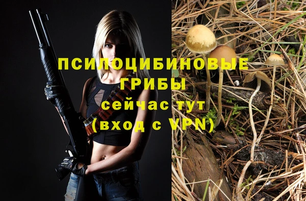 ешки Гусев