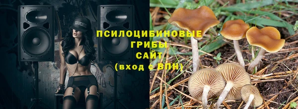 ешки Гусев