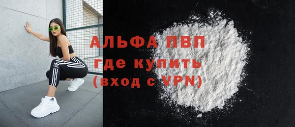 амф Гусь-Хрустальный