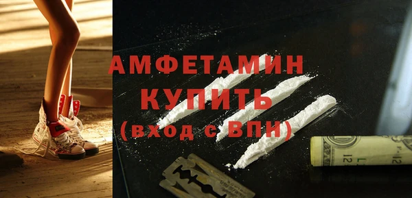 амф Гусь-Хрустальный