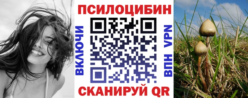 Псилоцибиновые грибы прущие грибы Купить где Краснозаводск